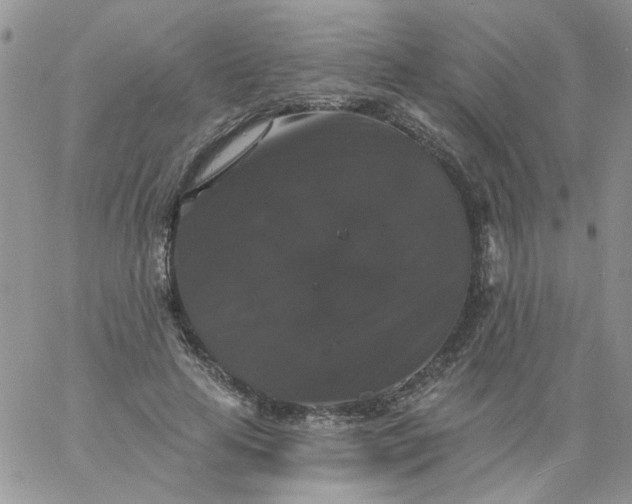 X0000060790641200511241846