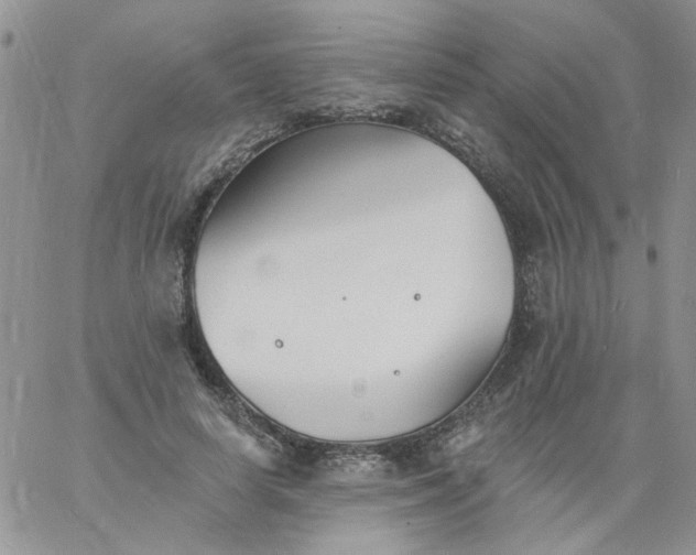 X0000060790642200511241846