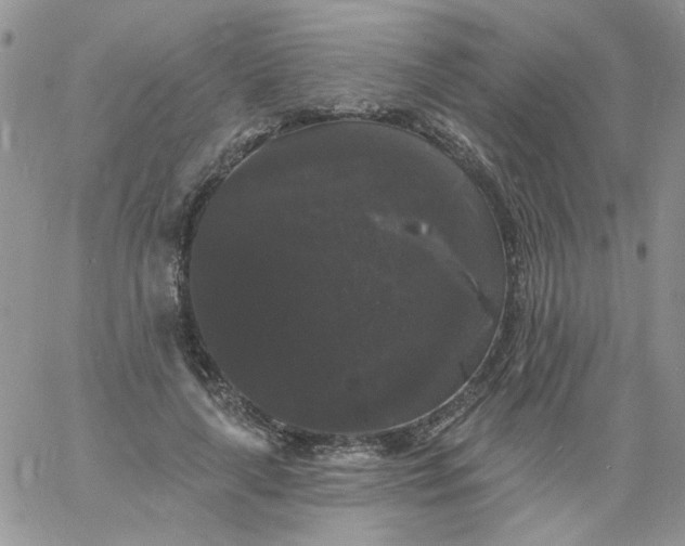 X0000060790643200511241846