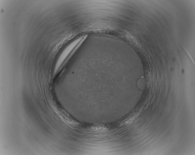 X0000060790644200511241846