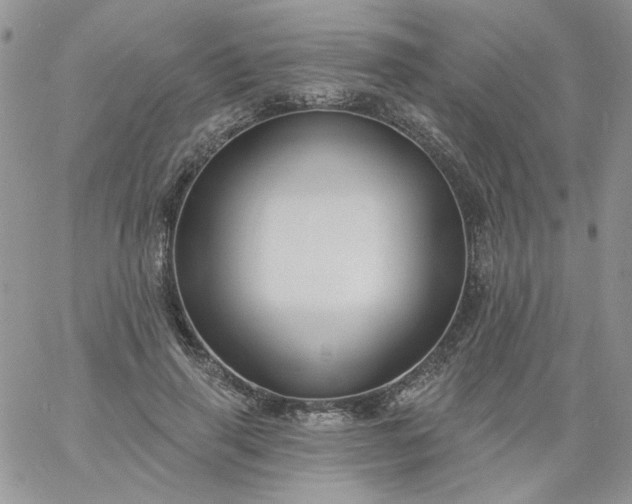 X0000060790645200511241846