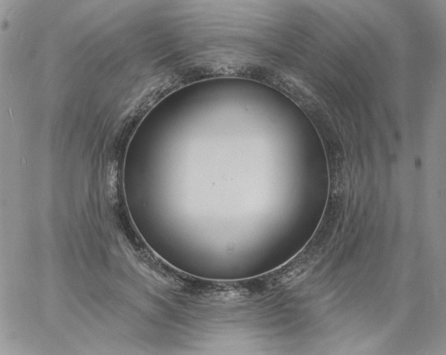 X0000060790646200511241846