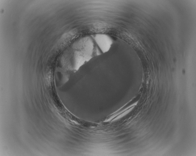 X0000060790647200511241846