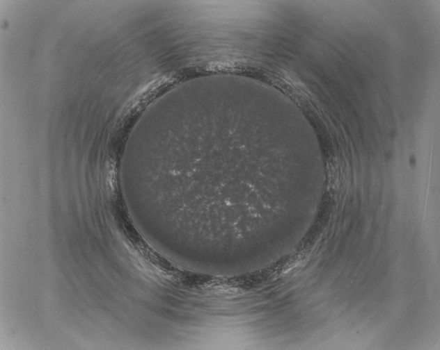 X0000060790648200511241846