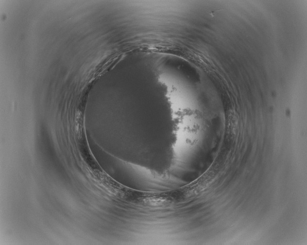 X0000060790650200511241846