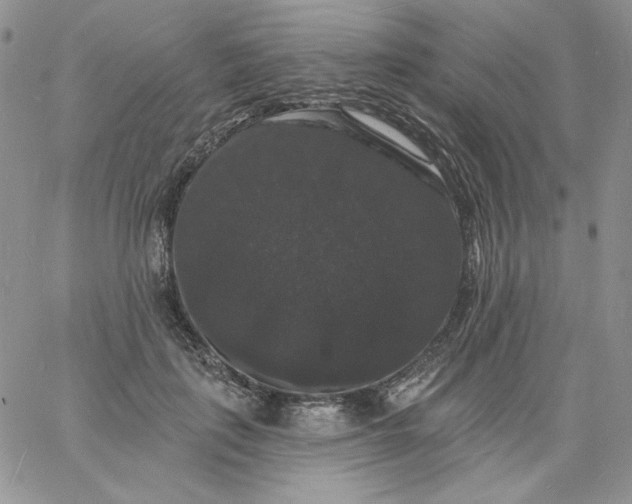 X0000060790651200511241846