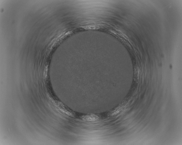 X0000060790652200511241846