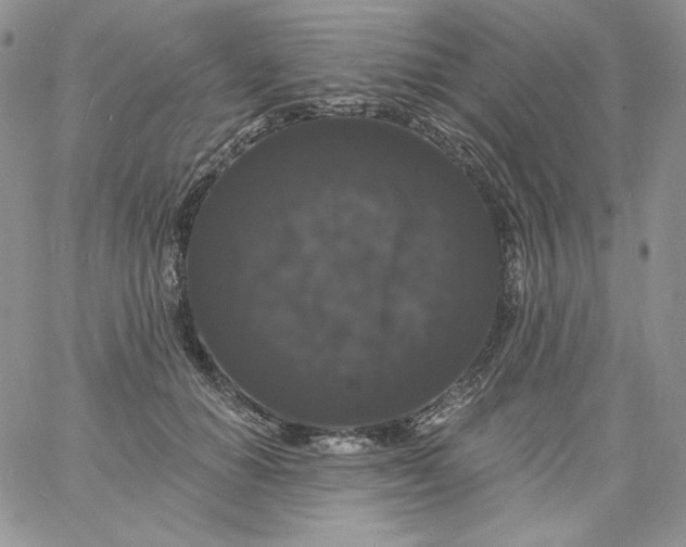 X0000060790654200511241846