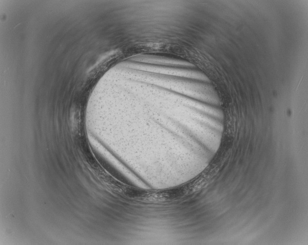 X0000060790656200511241846