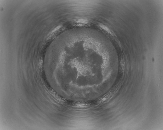 X0000060790657200511241846