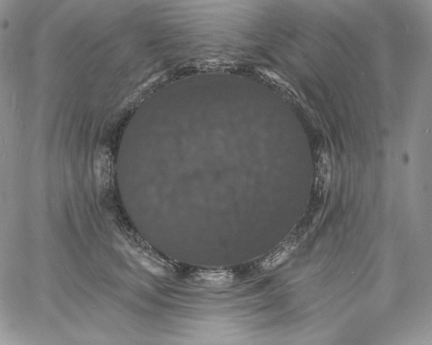 X0000060790659200511241846