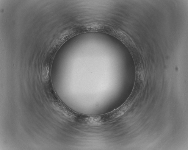 X0000060790660200511241846