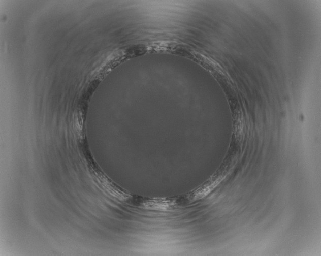 X0000060790661200511241846