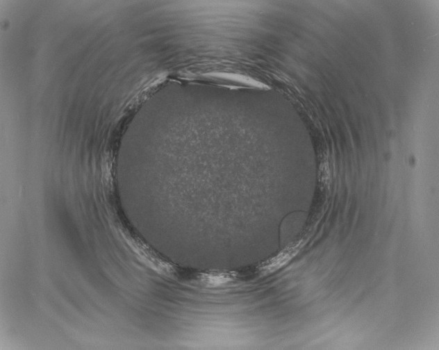 X0000060790662200511241846