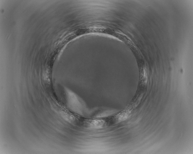 X0000060790663200511241846