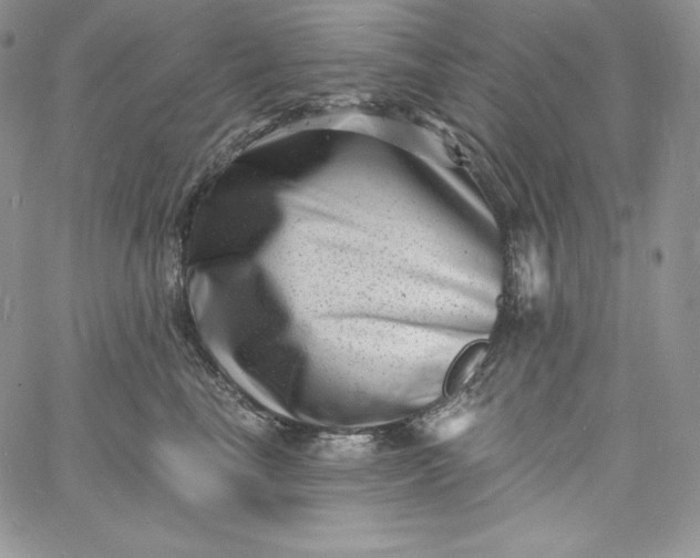 X0000060790665200511241846