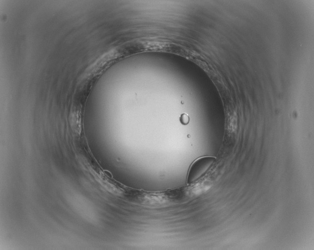 X0000060790666200511241846