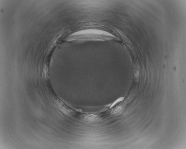 X0000060790669200511241846