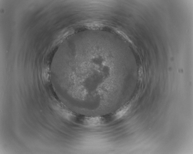 X0000060790671200511241846