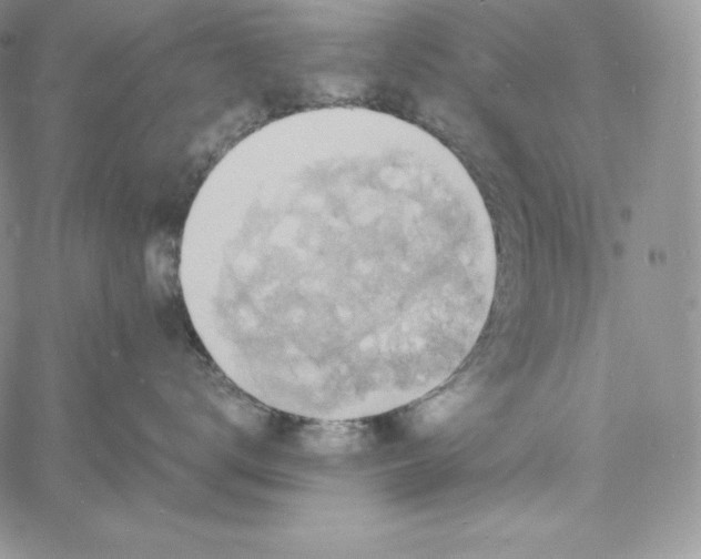 X0000060790672200511241846