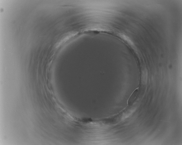 X0000060790673200511241846