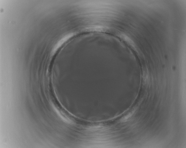 X0000060790674200511241846