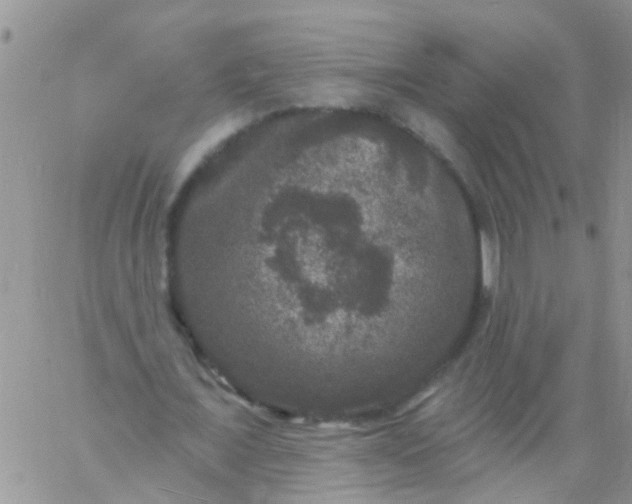 X0000060790675200511241845