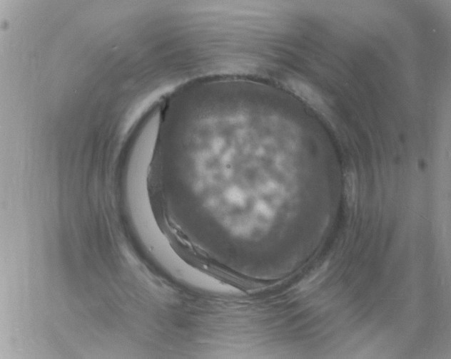 X0000060790676200511241845