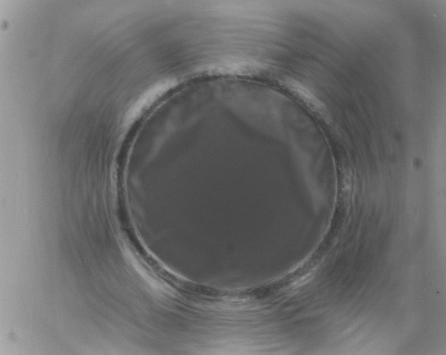 X0000060790678200511241845