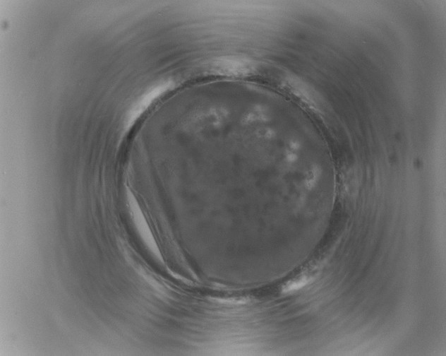 X0000060790679200511241845