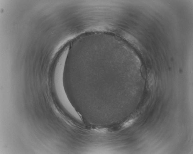 X0000060790680200511241845