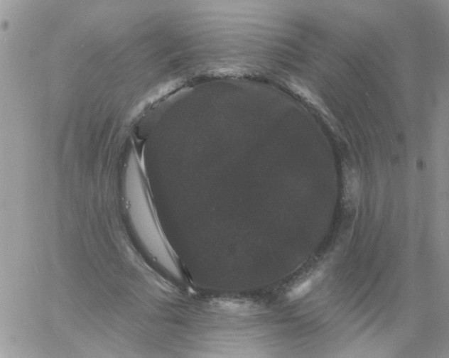 X0000060790681200511241845