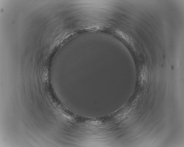 X0000060790689200511241845