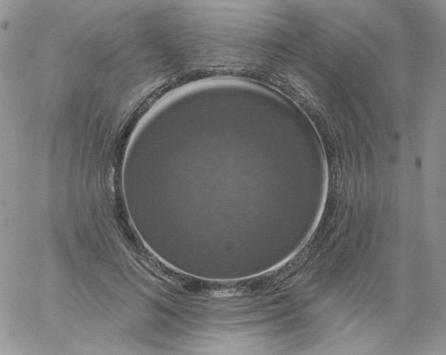 X0000060790692200511241845