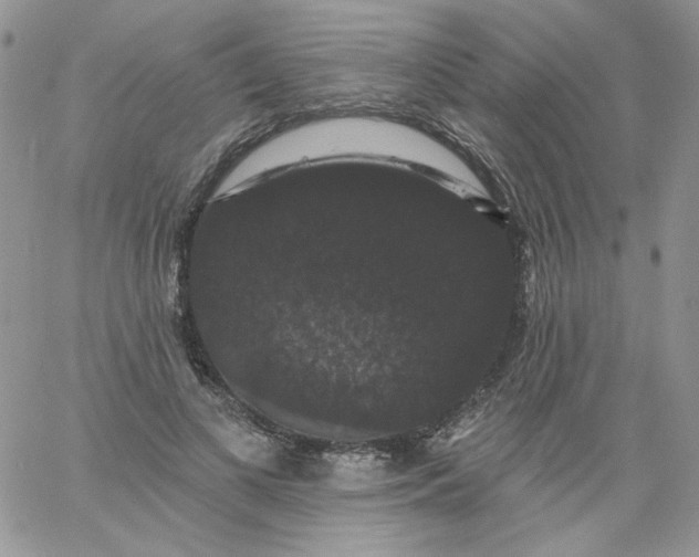 X0000060790693200511241845