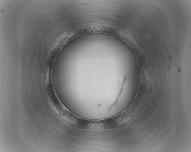 X0000060790694200511241845