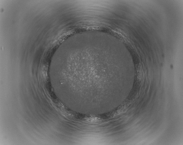 X0000060790695200511241845