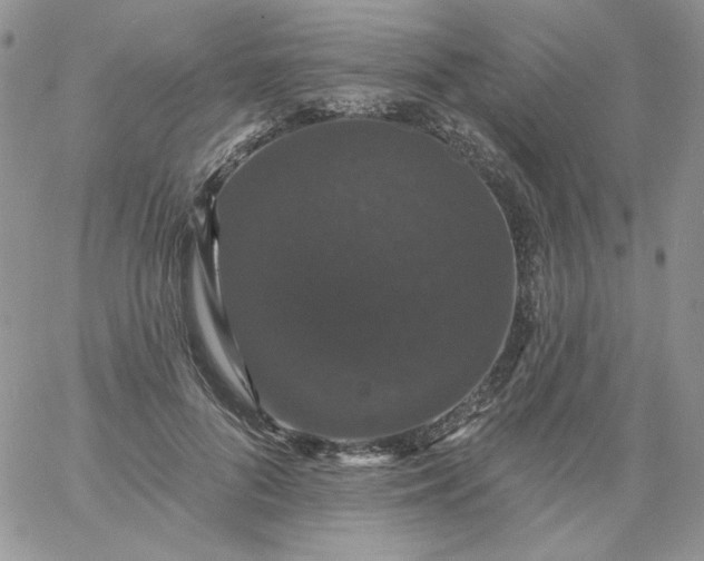 X0000060790696200511241845