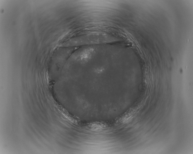 X0000060790697200511241845