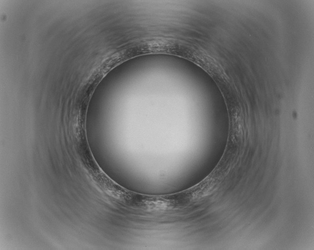 X0000060790698200511241845