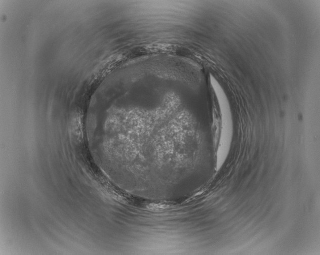 X0000060790699200511241845