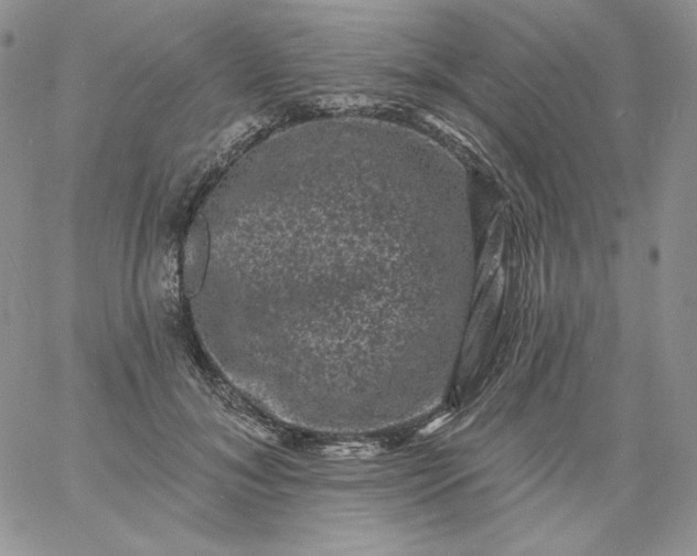 X0000060790700200511241845