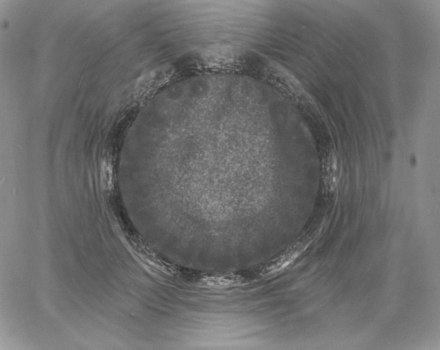 X0000060790703200511241845