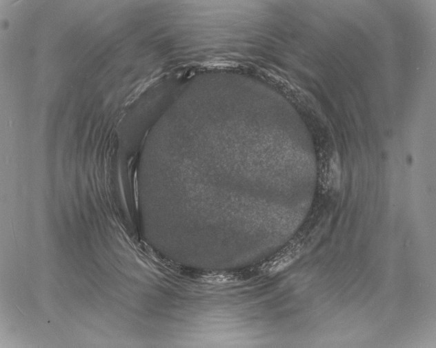 X0000060790704200511241845