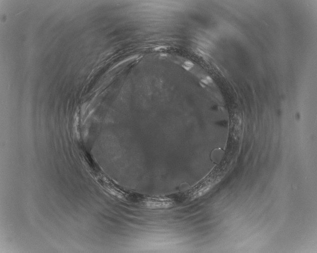 X0000060790707200511241845