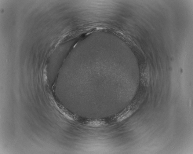 X0000060790708200511241845