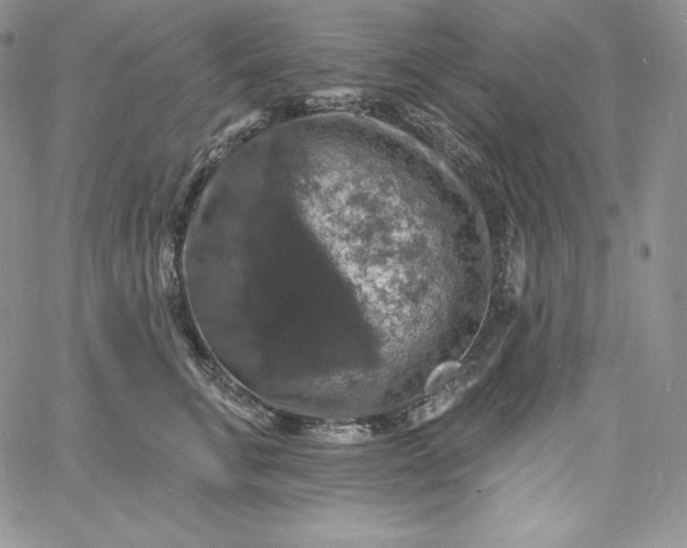 X0000060790711200511241845