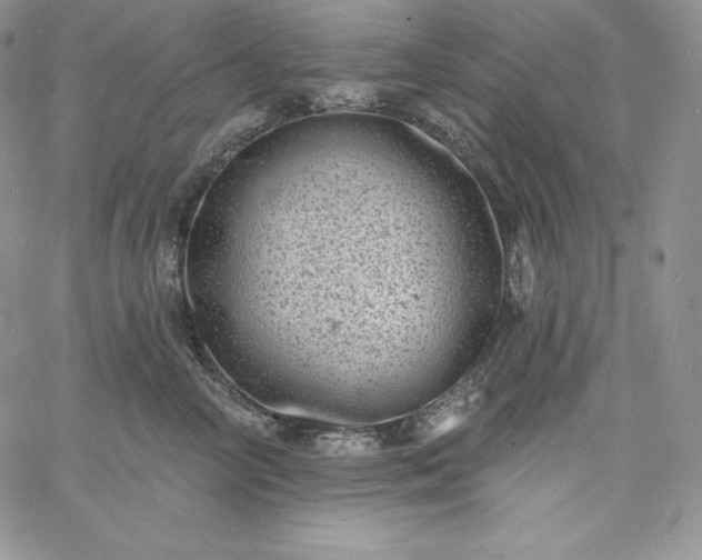 X0000060790714200511241845