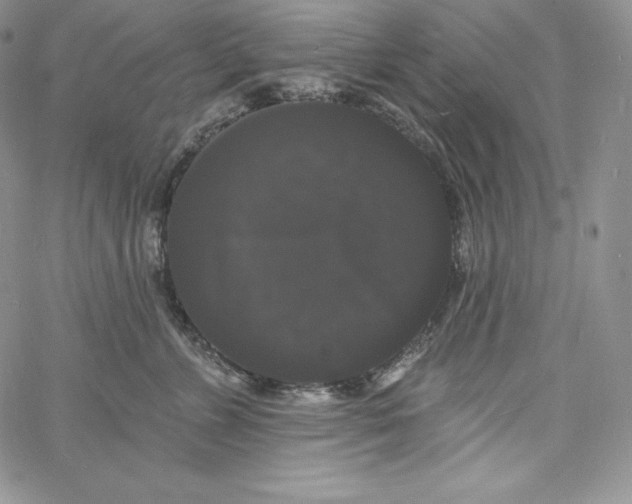 X0000060790715200511241845