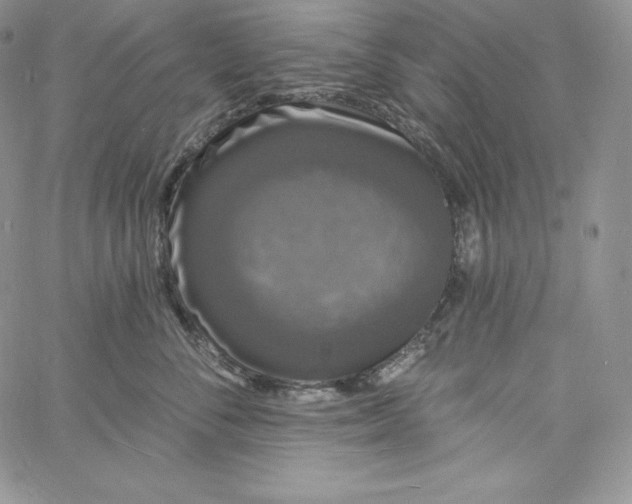 X0000060790716200511241845